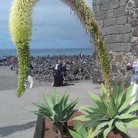 Sea View * Лос-Реалехос